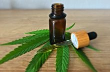 What is CBD Oil? | CBD Benefits & Uses South Africa 2024
