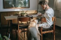 Can You Give Your Dog CBD? | Benefits, Dosage, and More