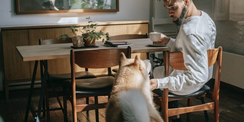 Can You Give Your Dog CBD? | Benefits, Dosage, and More