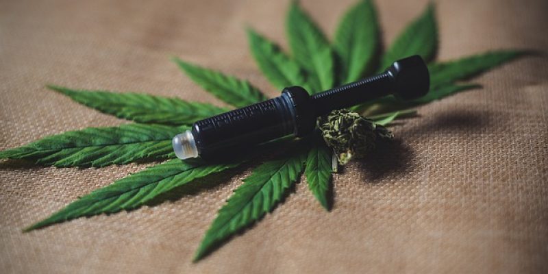 CBD Oil for Kids – Everything you Need to Know