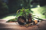 CBD Oil Cost: The Price of Cannabis Oil in South Africa