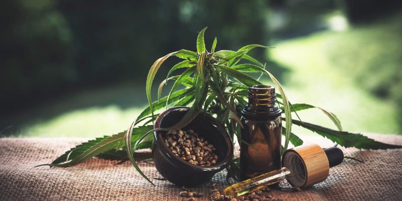 CBD Oil Cost: The Price of Cannabis Oil in South Africa