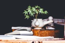 16 Benefits of Dagga for treating Medical Conditions