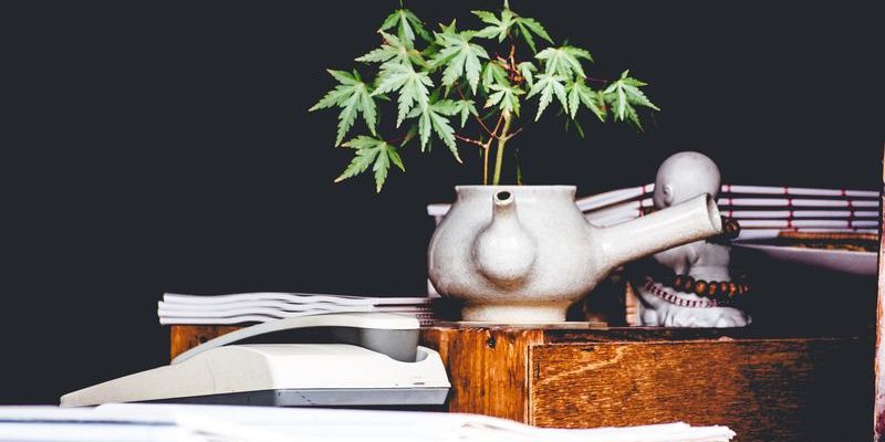 16 Benefits of Dagga for treating Medical Conditions