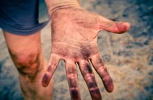 Cannabis Nutrients Soil – What Works Best In South Africa?