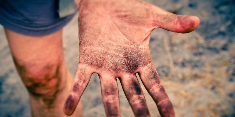 Cannabis Nutrients Soil – What Works Best In South Africa?