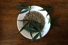 Hemp Oil in South Africa: What, Where and Why?