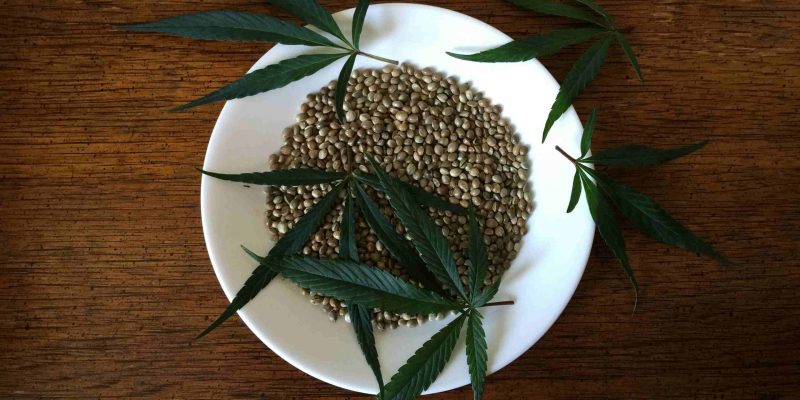 Hemp Oil in South Africa: What, Where and Why?