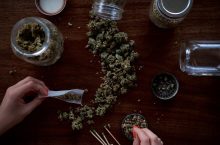Is Weed Legal in South Africa? | Understanding The Laws Around Dagga