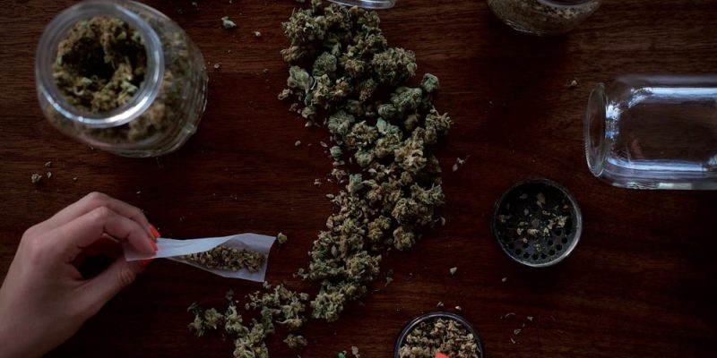 Is Weed Legal in South Africa? | Understanding The Laws Around Dagga